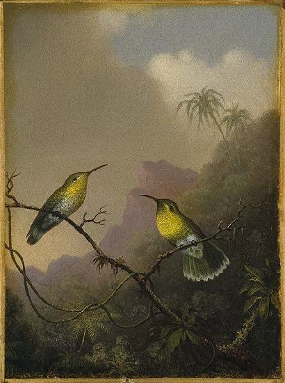 Martin Johnson Heade Copper-tailed Amazili oil painting image